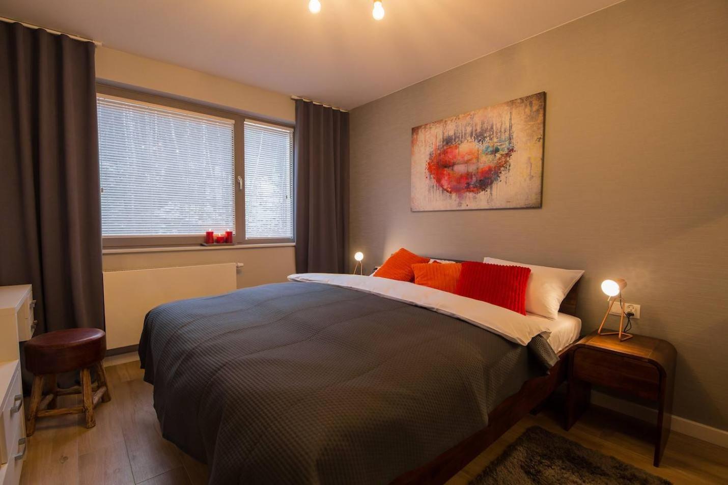 Apartview Premium By Rent Like Home Wisła Exteriör bild
